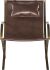 Willis Lounge Chair (Brown Leather)