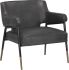 Derome Lounge Chair (Bravo Portabella)