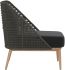 Andria Lounge Chair (Dark Grey & Regency Black)