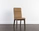 Cashel Dining Chair (Set of 2 - Alpine Wood Leather)