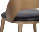 Dezirae Dining Chair (Antique Brass & Charcoal Black Leather)