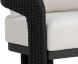 Pylos Lounge Chair (Black & Louis Cream)