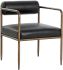 Ajani Dining Armchair (Charcoal Black Leather)
