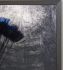 The Peacock (48 X 72 - Charcoal Frame)