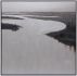 Lonesome Wetlands (60 X 60 - Cadre Flottant Noir)