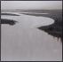 Lonesome Wetlands (60 X 60 - Black Floater Frame)