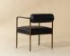 Ajani Dining Armchair (Charcoal Black Leather)