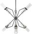 Everly 6 Light Chandelier (Black and Chrome)