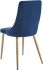 Carmilla Side Chair (Set of 2 - Blue)