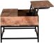 Ojas Lift-Top Coffee Table (Natural Burnt)