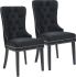 Rizzo Side Chair (Set of 2 - Black)