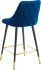 Roxanne 26 Inch Counter Stool (Set of 2 - Blue)