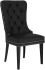 Rizzo Faux Leather Side Chair (Set of 2 - Black)