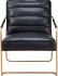Dallas Accent Chair (Vintage Black)