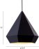 Forecast Ceiling Lamp (Black)