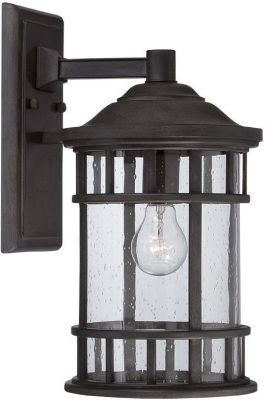 Vista 1-Light Wall-Mounted 11.25-inch Fixture in Black Coral