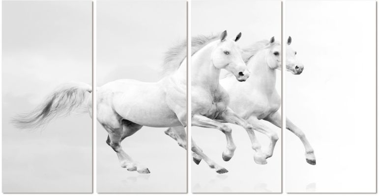 White Horses Running Portrait de Deux Chevaux 4 Pièces en Acrylique