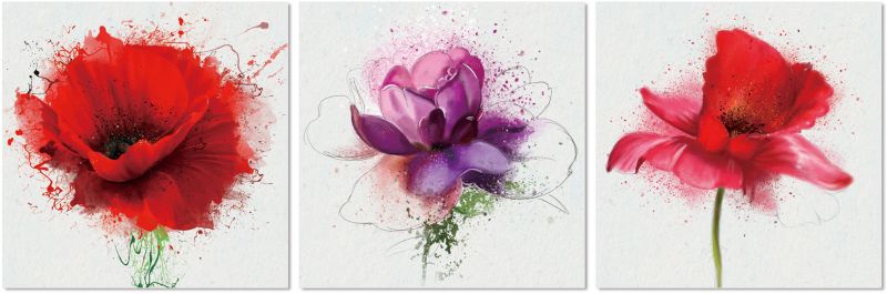 Les Fleurs De Trois - 3 Piece horizontal acrylic panel picture