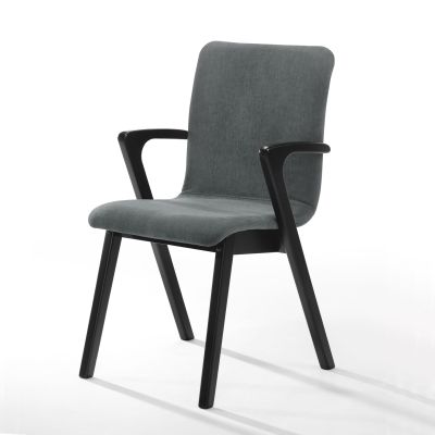 Cara Arm Chair (Set of 2 - Dark Grey)