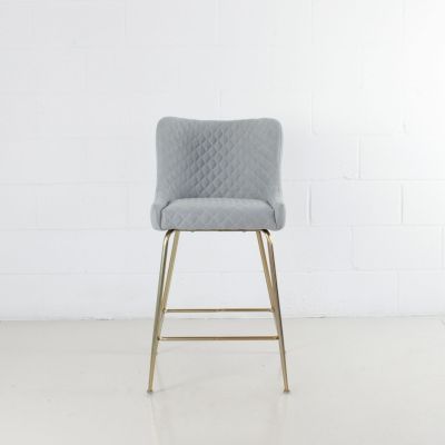 Colette Counter Stool (Set of 2 - Light Grey With Gold Color Base)