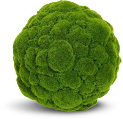 Moss Ball (12 Inch - Green)