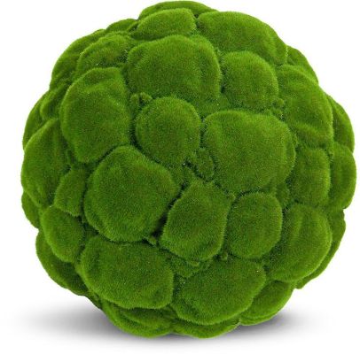 Moss Ball (16 Inch - Green)