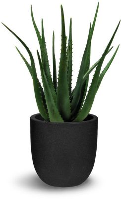 Aloes (21 Po - Vert)