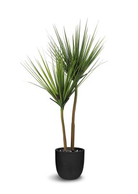 Agave Tree Botanical (60 In - Green)