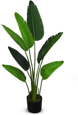 Travelers Palm (Green - 47 In)
