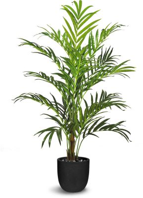 Palm Tree (78.5 Inch - Green)