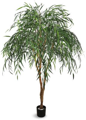 Willow Tree (Green - 60 In)