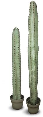 Cereus Botanical (38 In - Green)