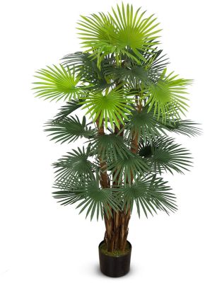 Fortune Palm Tree (Green - 55 In)