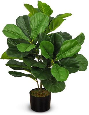 Fiddle Leaf Fig Tree (Green - 30 In)