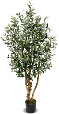 Olive Tree (Green - 63 In)