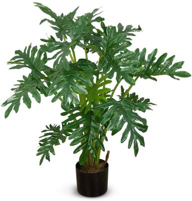 Philodendron (Green - 38 In)