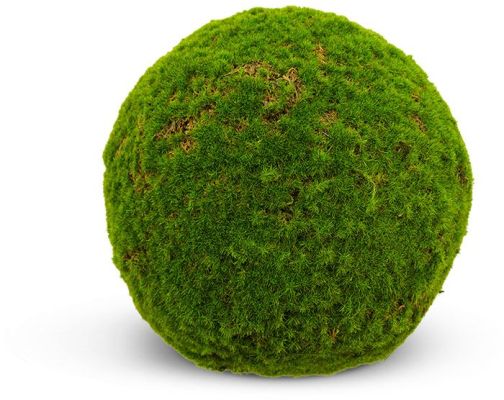 Moss Ball (10 Inch - Green)
