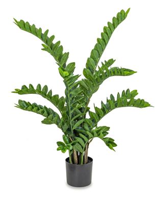 Zamio (Green - 41 In)