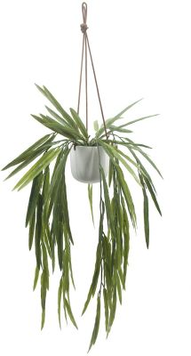 Hanging White Pandan (Hanging Ceramic Vase - 24 In)