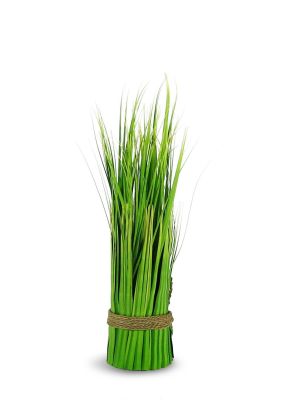 Grass Botanical (21 In - Lime)