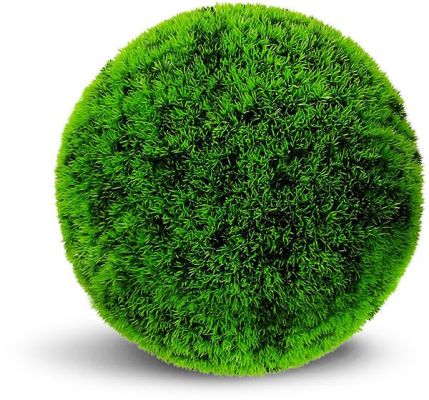 Grass Ball (16 Inch - Lime Green)