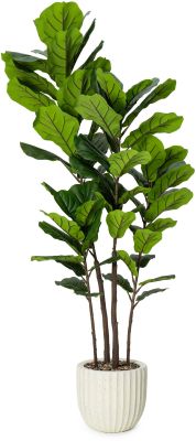 Fiddle Leaf Tree (Beige Fiberglass Planter - 72 In)