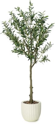 Olive Tree (Beige Fiberglass Planter - 47 In)