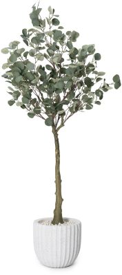 Eucalyptus Tree (White Fiberglass Planter - 69 In)