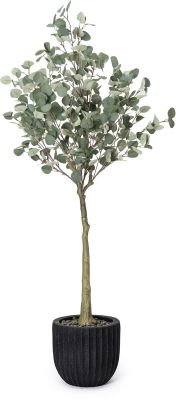 Eucalyptus Tree (Black Fiberglass Planter - 69 In)