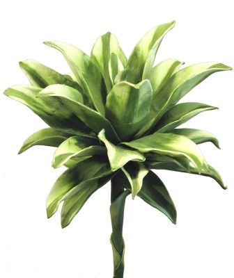 Agave Flower Artificial Flower (36 x 9 x 9 - Green)