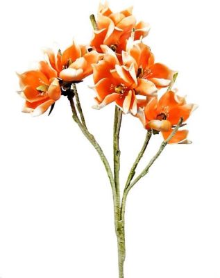Prune Flower  Artificial Flower (45 x 12 x 12 - Orange)