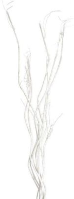 Salix Artificial Flower (51 x 9 x 9 - White)