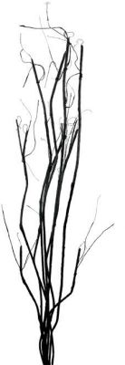 Salix Artificial Flower (51 x 9 x 9 - Black)