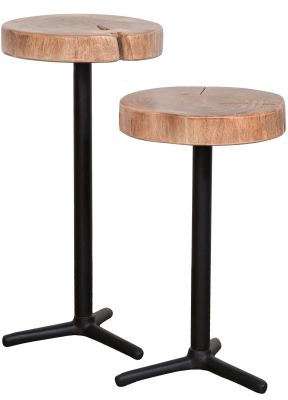 Bio Martini Tables (Set of 2)